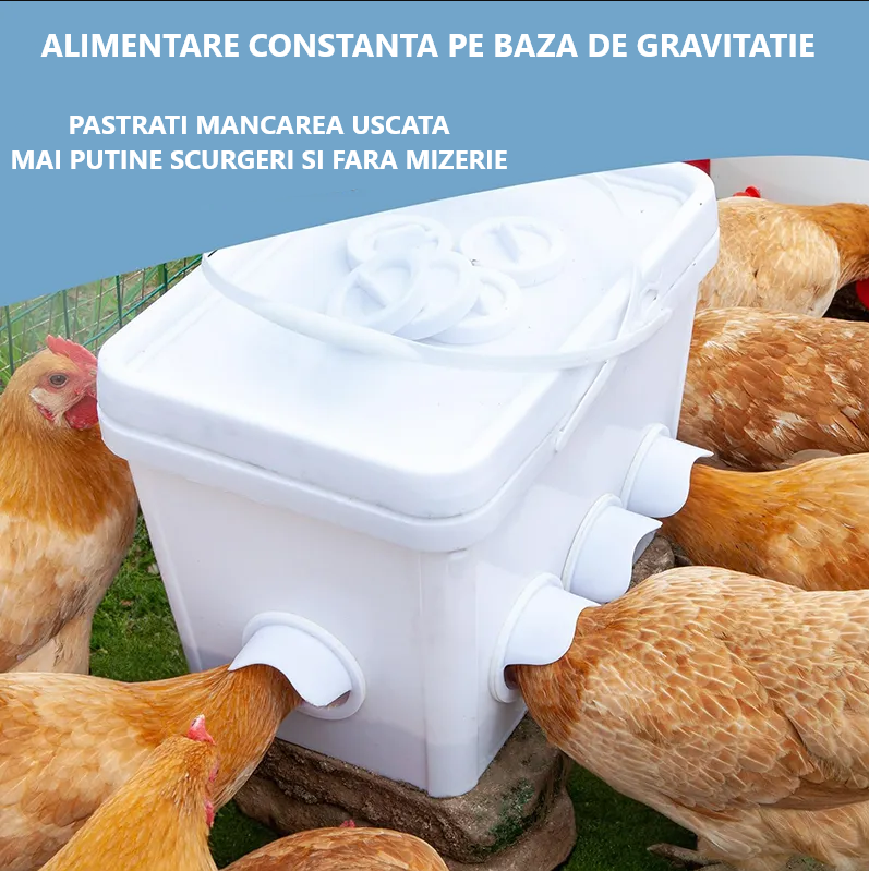 🐓 Hrănitor automat pentru pui, rață și gâscă