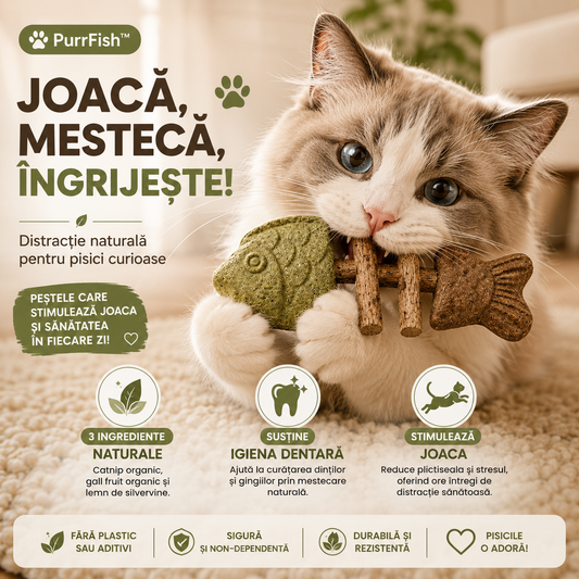 🐟Jucărie de Mestecat Pisici PurrFish™ 1+1 CADOU