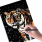 Imagini Scratch - Orase - Animale - Artă